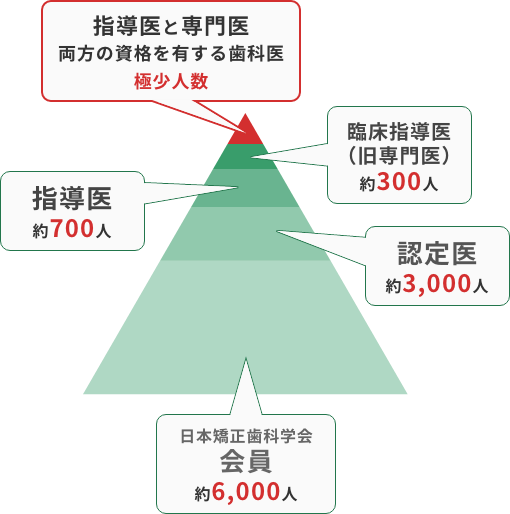 日本矯正歯科学会が定める矯正歯科医の制度のイメージ図