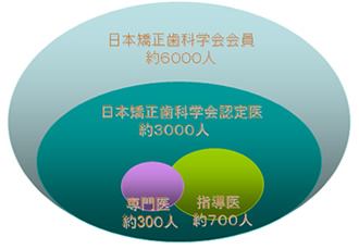 日本矯正歯科学会会員図
