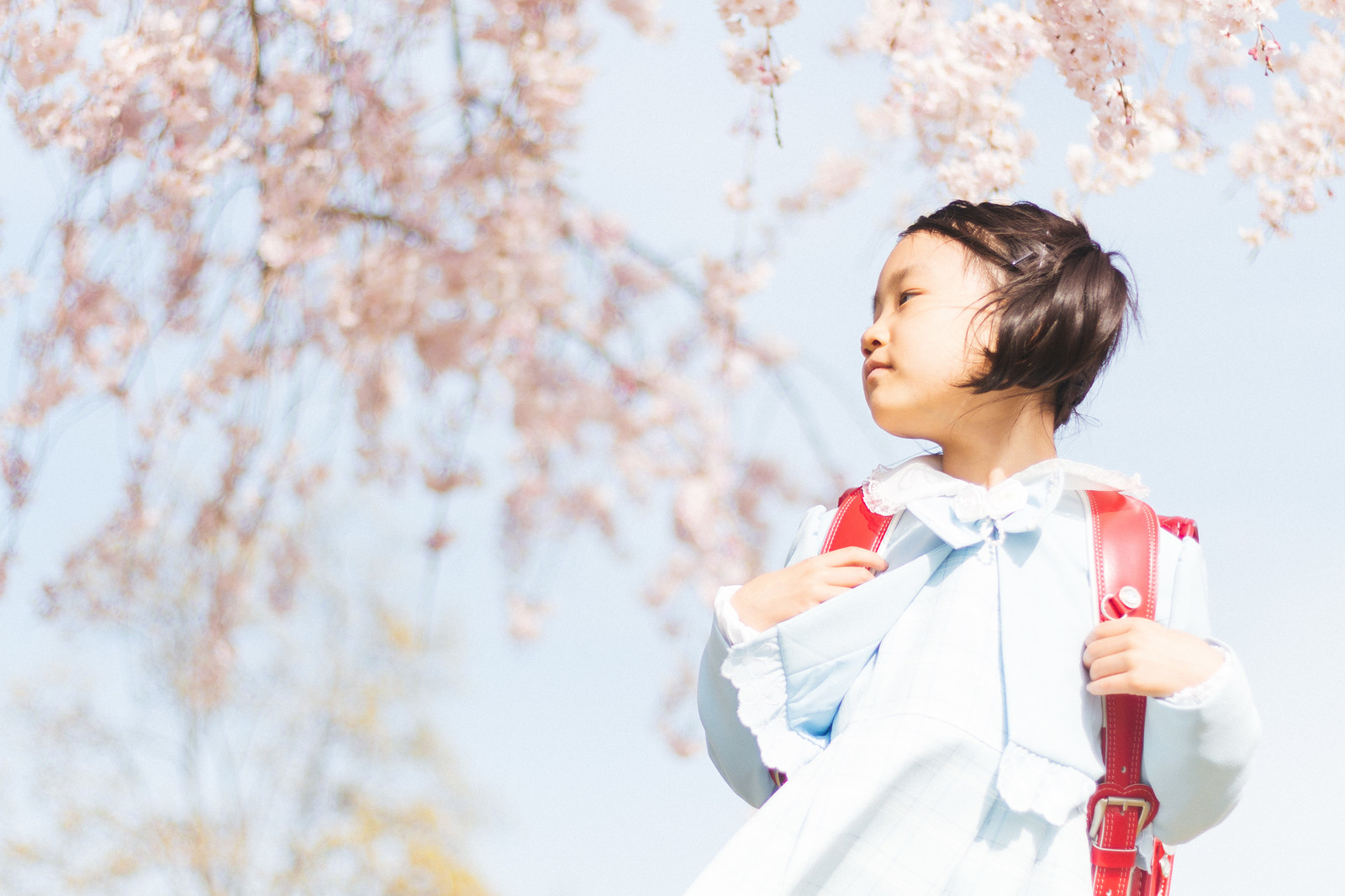 小学生のうちに歯並びを矯正する必要性は？